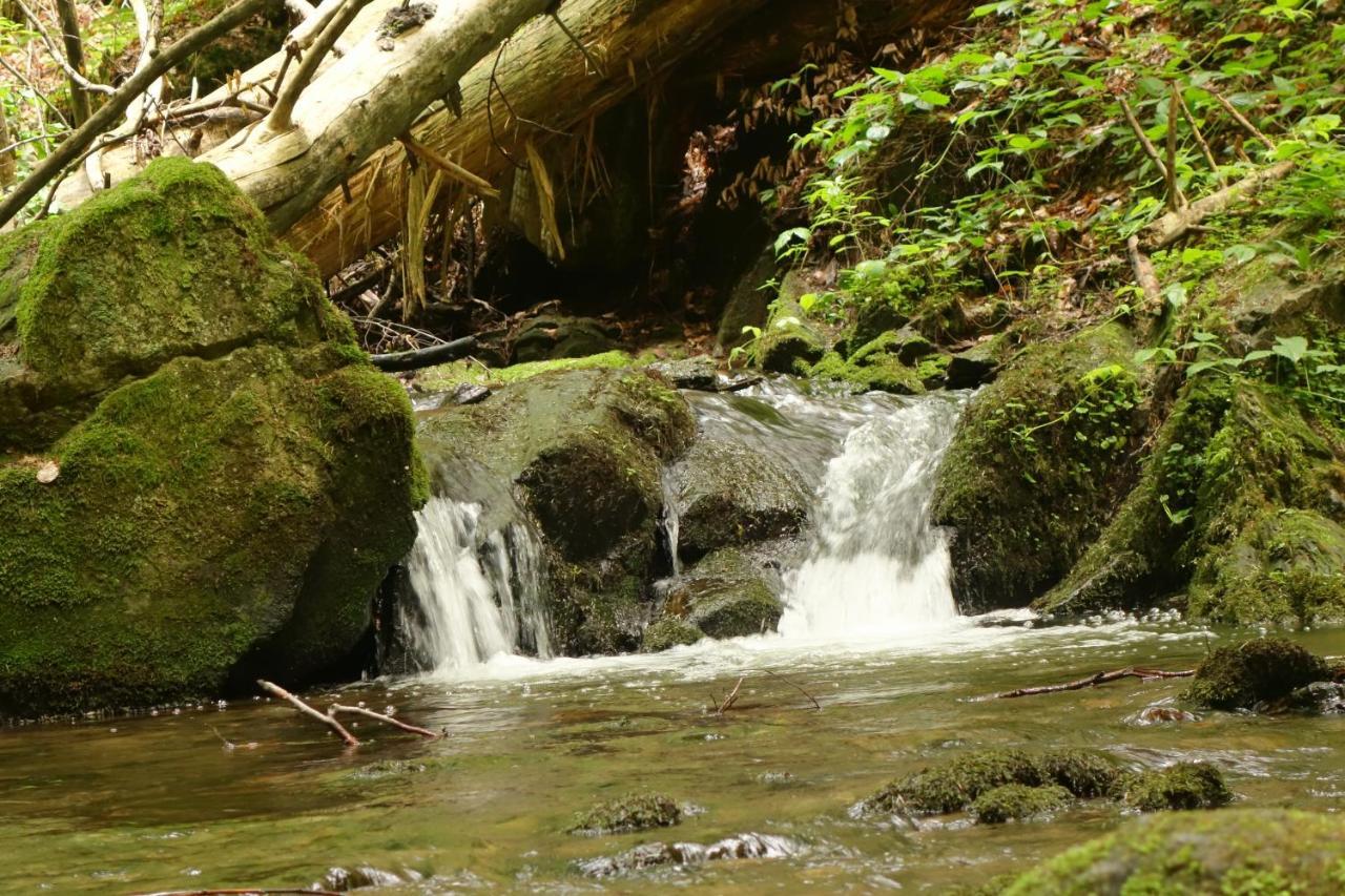 Penzion Chata Na Mlyne Horni Mesto Exterior foto